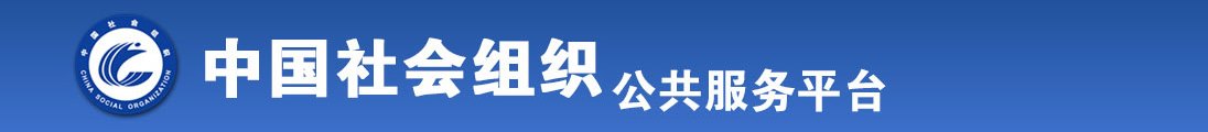 殴美日麻屄全国社会组织信息查询